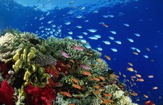 Antalya Aquarium