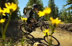 Snowmass