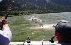 Sturgeon fishing