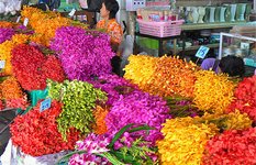The Flower Market