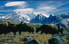Himalayas
