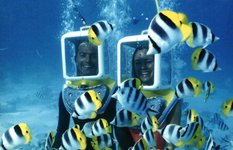 Aqua Safari