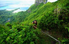 Climbing Mt Pahia