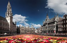 Floral carpet on the Grand Place Square