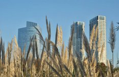 The Ecological Reserve