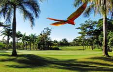 Costa Rica golf