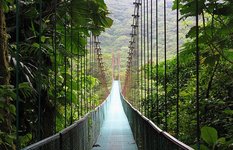 Monteverde Cloud Forest