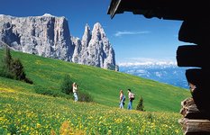 Alpe di Siusi