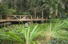 garden of the sleeping giant
