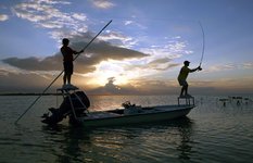 The Fly Fishing