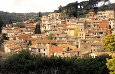 Bormes les Mimosas