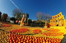 The Lemon Festival in Menton
