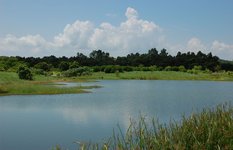 hong kong wetland park