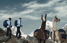 Llama trekking