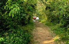 Sendero Macuco