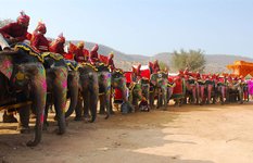 Dera Amer Elephant Safari