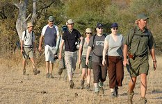 bush walk
