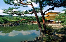 Kinkaku-ji Temple