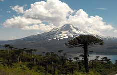 Volcán Llaima