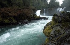 Parque Nacional Puyehue