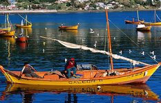 Valdivia