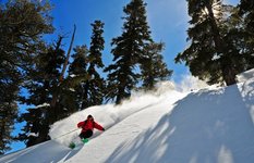 Kirkwood