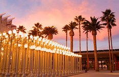 Los Angeles County Museum of Art (LACMA)