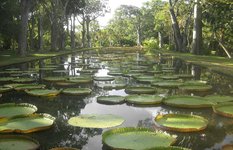 Botanical Garden