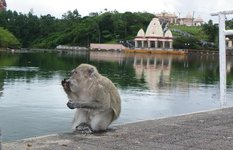 Ganga Talao lake