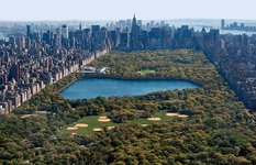 The Central Park