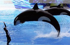 SeaWorld Orlando