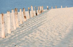 Parnidžio dune