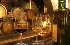 Calem Port Wine Cellar