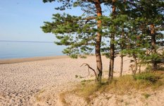 Jurmala dunes
