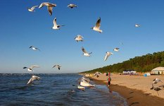 Jurmala