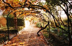 Huerto de Calixto y Melibea gardens