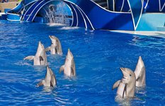 Sea World San Diego