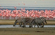 Lake Manyara