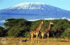 Mt. Kilimanjaro