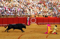 Plaza de Toros de la Real Maestranza