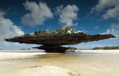 Aldabra Atoll