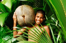 The Coco-de-mer