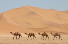 Sharm-Al-Sheikh