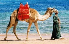 Sharm-Al-Sheikh