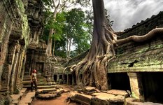 Ta Prohm