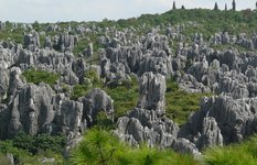 Shilin stone forest