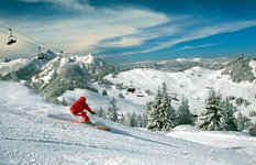 Ski Amade