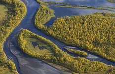 Laitaure delta