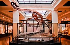 National Museum of Nature and Science