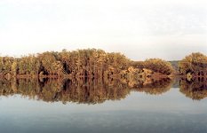 Amur River